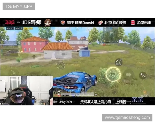 和平精英评论：解析JDG快攻策略的优劣与战术调整建议