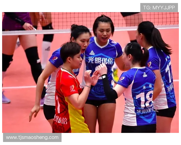 成都排球队与北京排球队的对决节奏分析与赛后总结