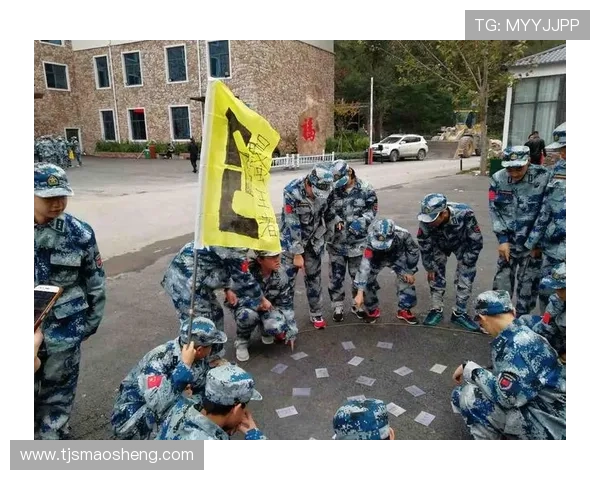 成都乒乓球队挑战赛中的团队协作表现分析与点评