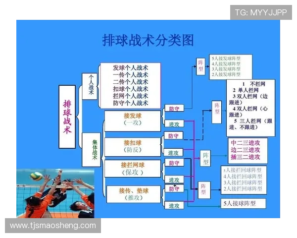 成都排球队速度提升之路与战术创新的深度分析