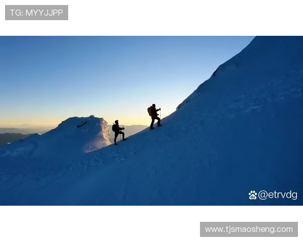 攀岩之路：杨娜如何在挑战中找到自我与激情